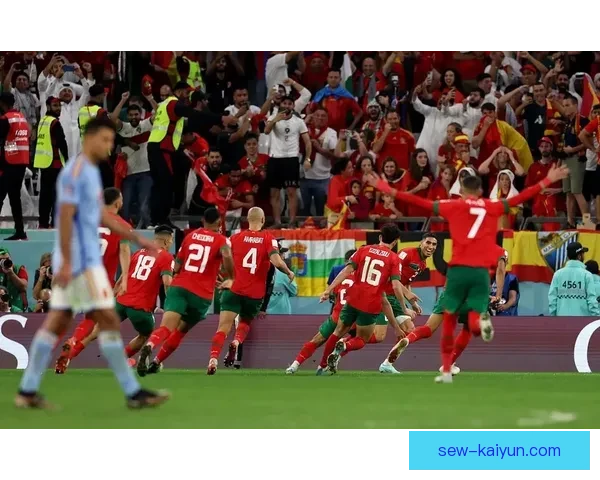 挪威球迷北欧雄狮